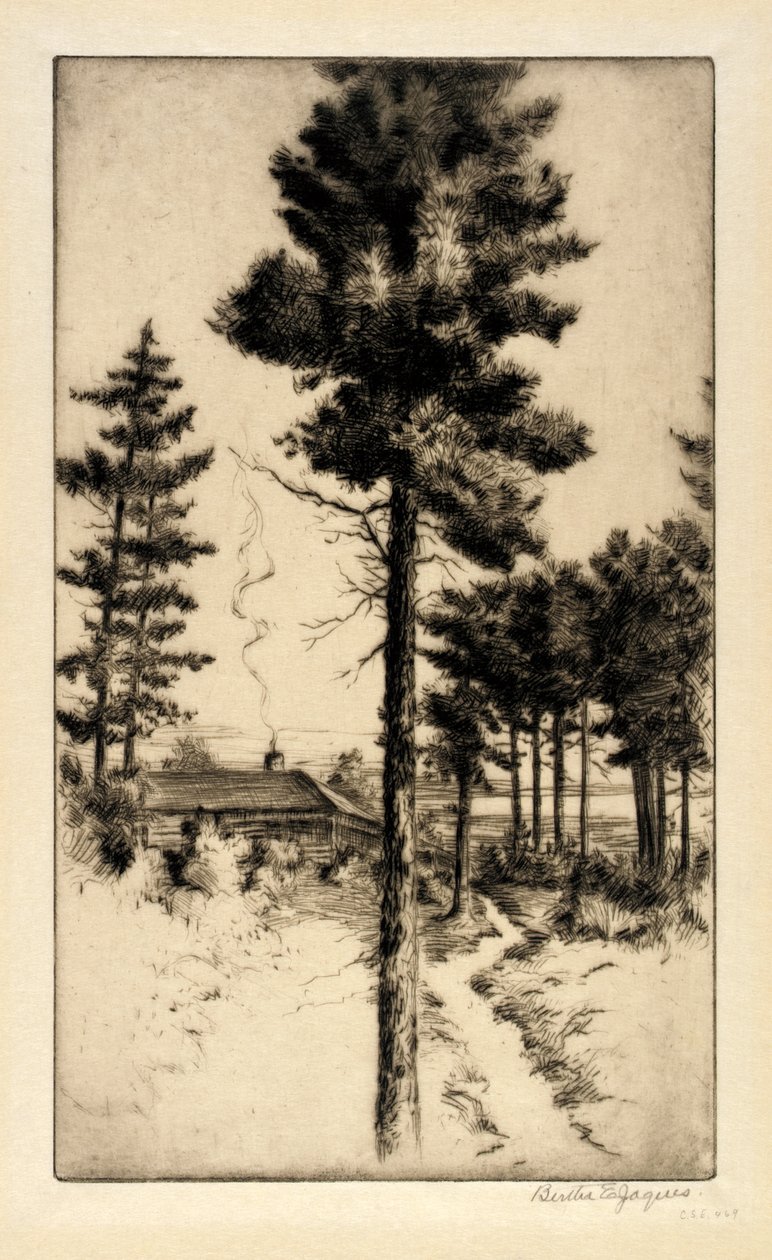 Kunyhó a vadonban alkotó: Bertha E. Jaques