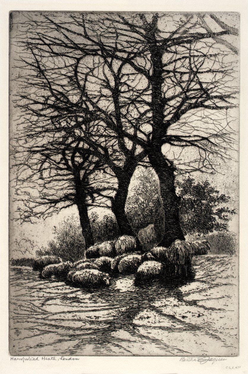 Hampstead Heath, London alkotó: Bertha E. Jaques