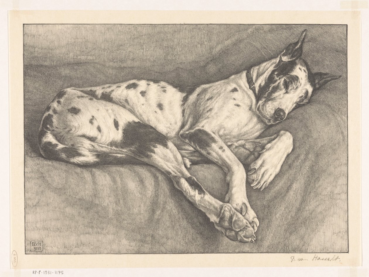 alvó kutya alkotó: Bertha van Hasselt (signed by artist)