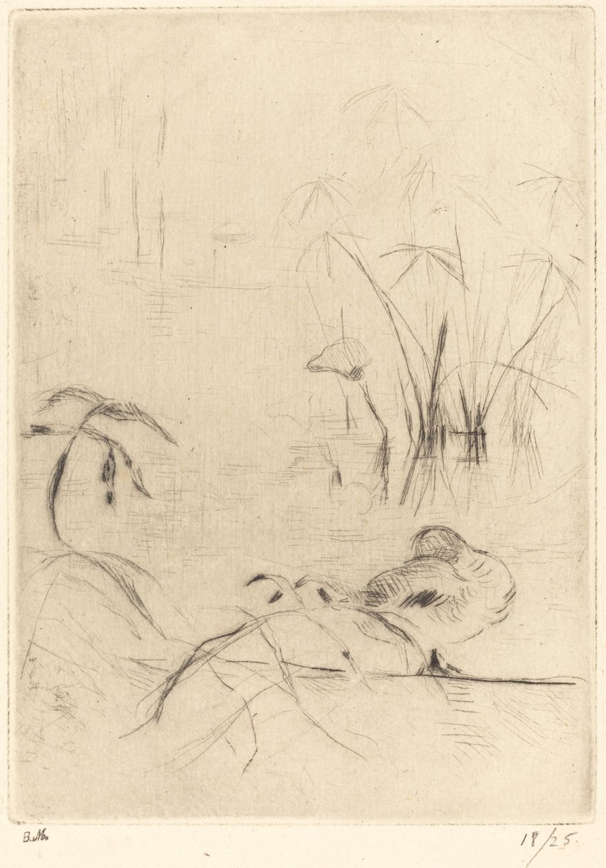 Kacsák nyugalomban a parton alkotó: Berthe Morisot
