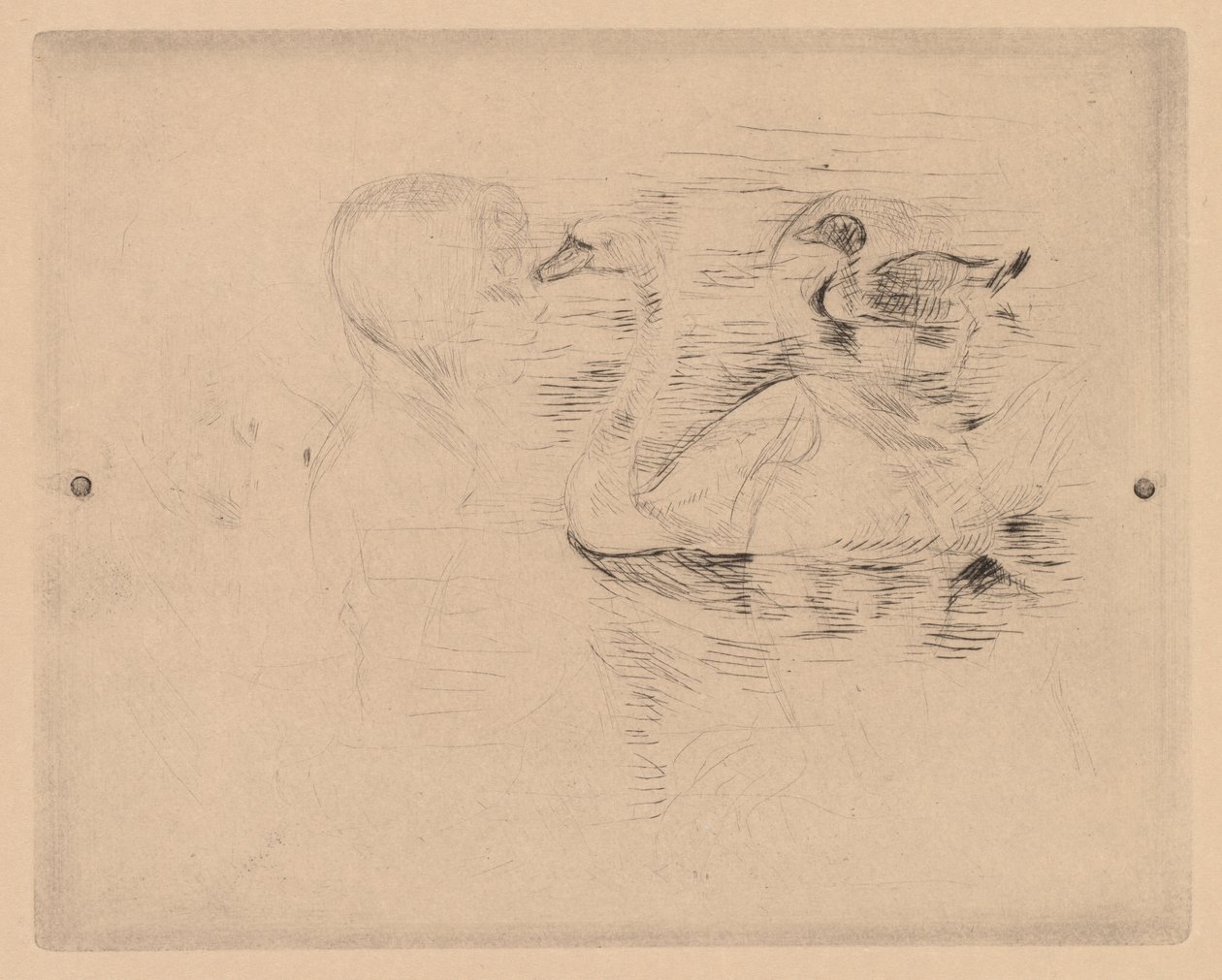 Hattyú és kacsa, Julie portréival alkotó: Berthe Morisot