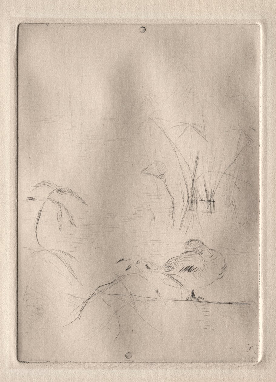 A kacsa, 1888-90. alkotó: Berthe Morisot