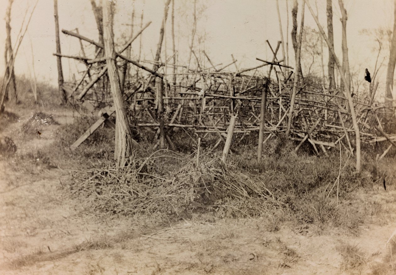 Album az első világháborúról Friuli-Venezia Giuliában: védekező akadály (fríz lovak), 1916/05 (f / w fotó) alkotó: Bertoni Bertoni