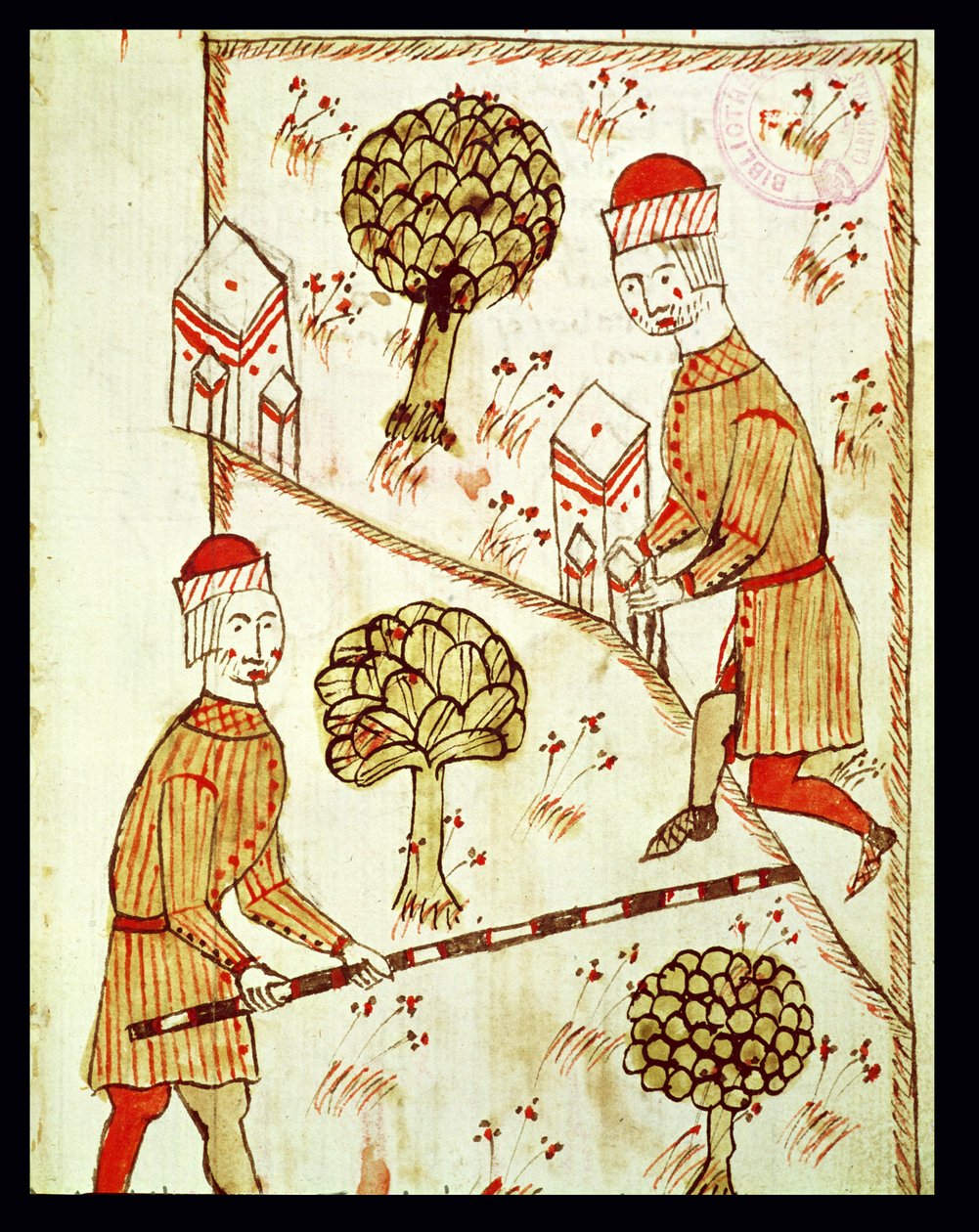 Ms 327 fol.28r Földmérés és telekmeghatározás, Arnaud de Villeneuve (1240-1312) "Traite d