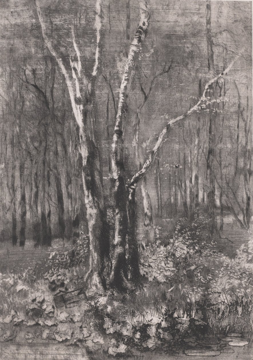 Erdők a parkban Monza mellett, 1895. alkotó: Bianchi Mose
