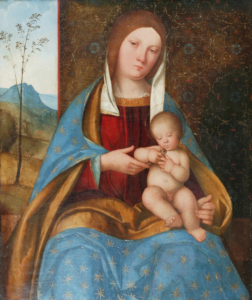 Madonna és gyermek (olaj a panelen) alkotó: Boccaccio Boccaccino