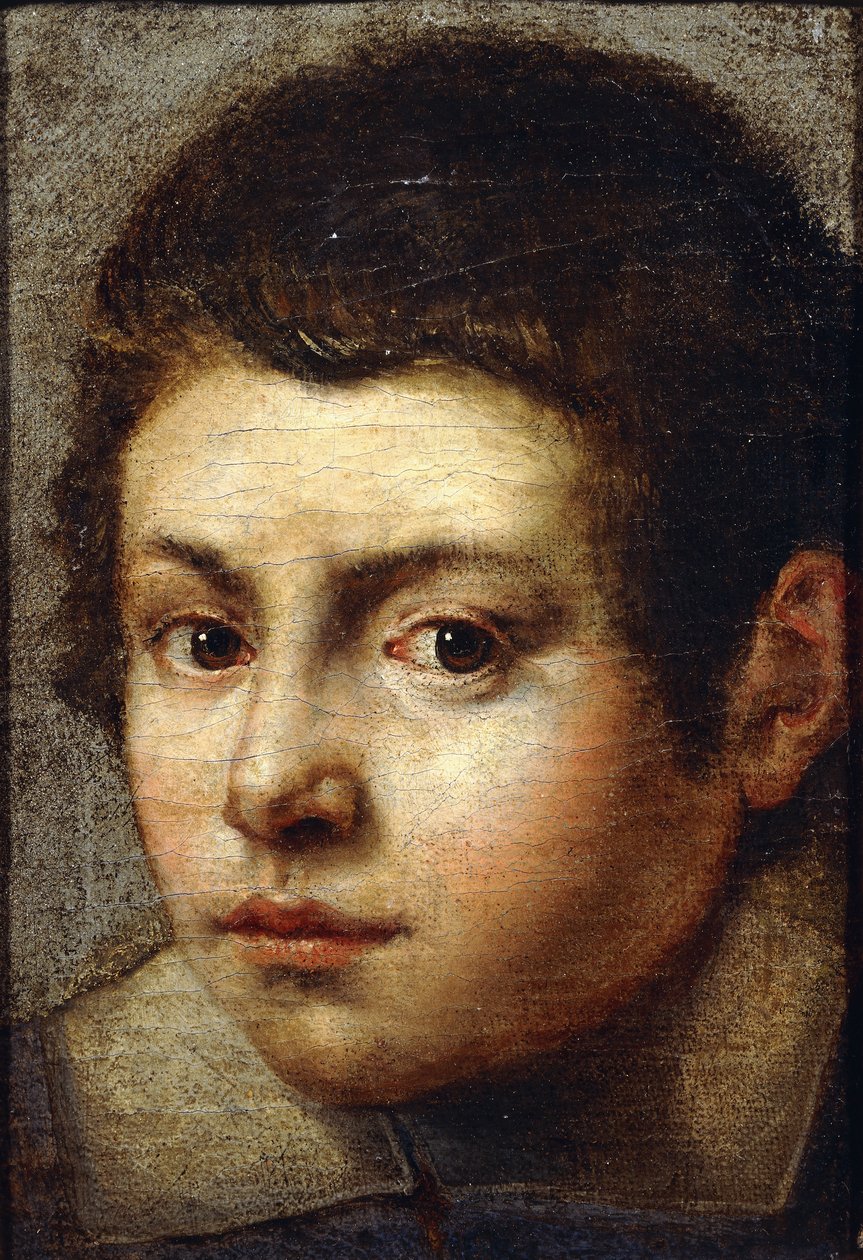 Egy fiatal fiú feje, alkotó: Bolognese School