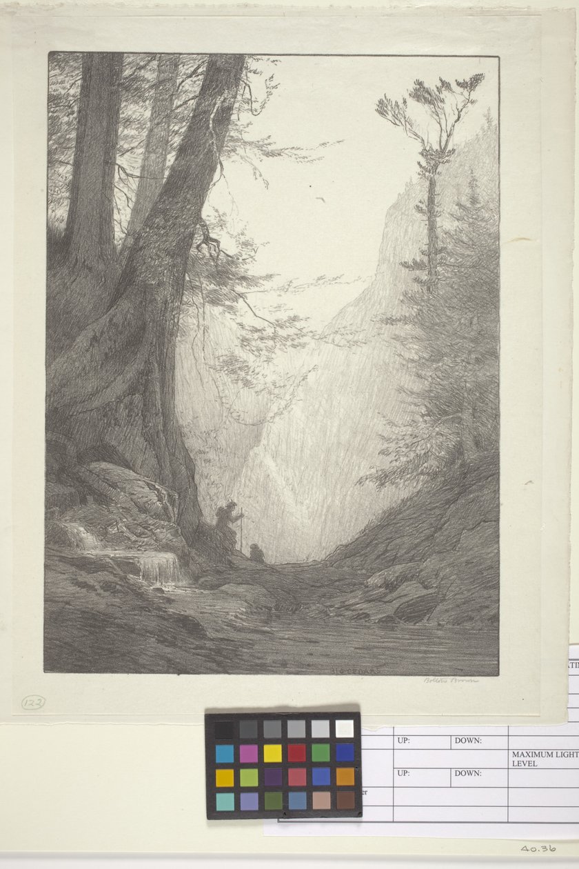 Nagy cédrusok (tinta papírra, litográfia) alkotó: Bolton Coit Brown