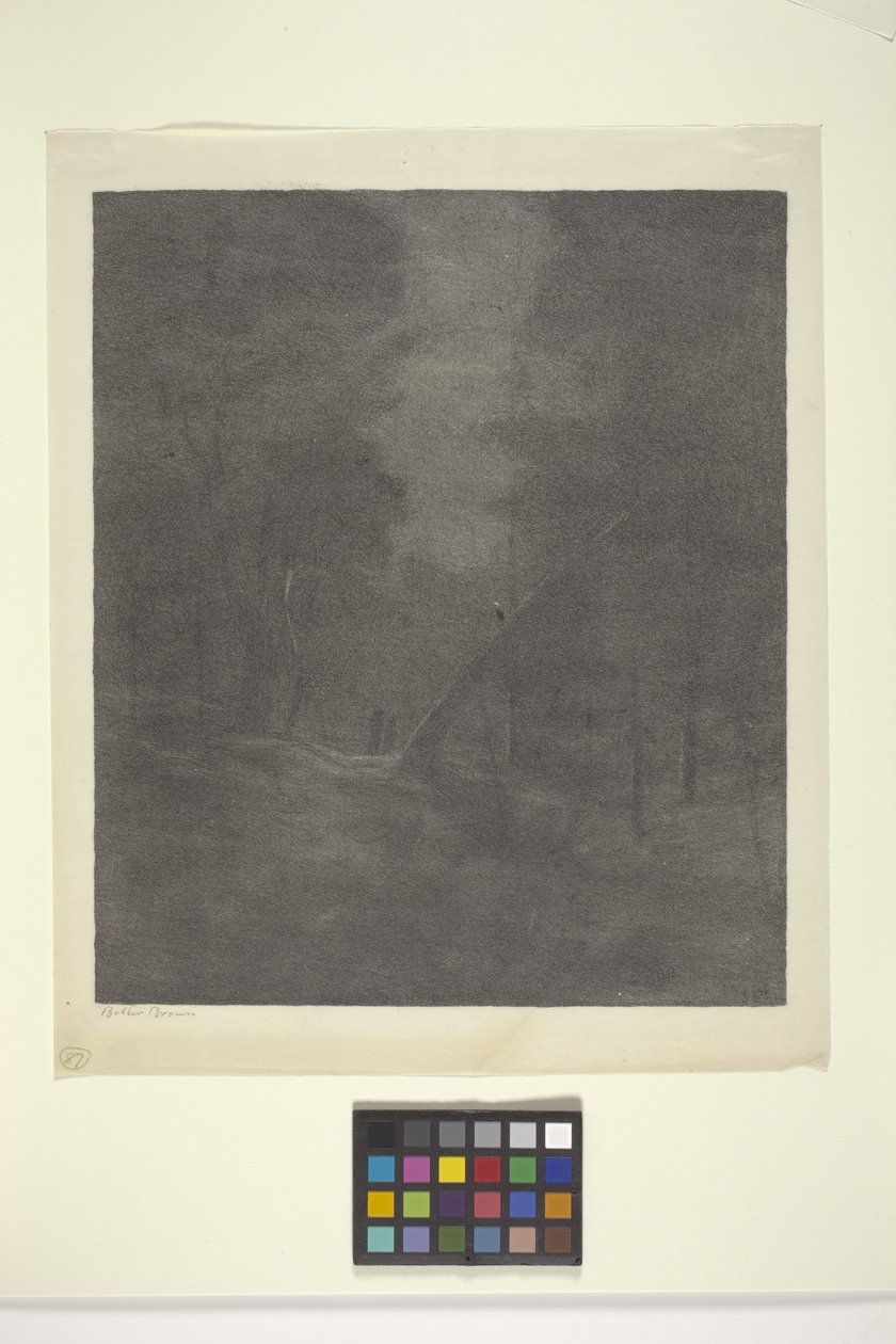 Moonlight Woods (tinta papíron) alkotó: Bolton Coit Brown