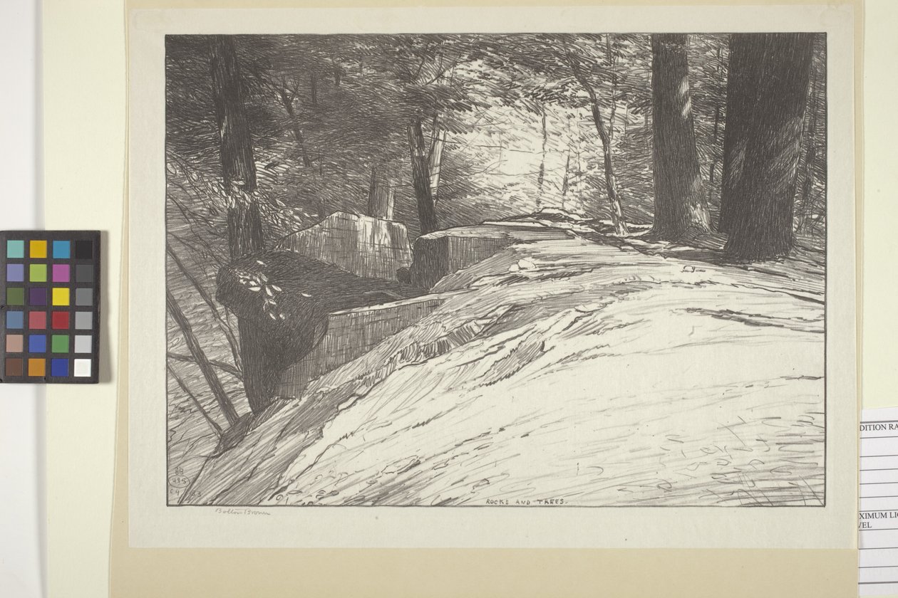 Sziklák és fák (tinta papíron) alkotó: Bolton Coit Brown