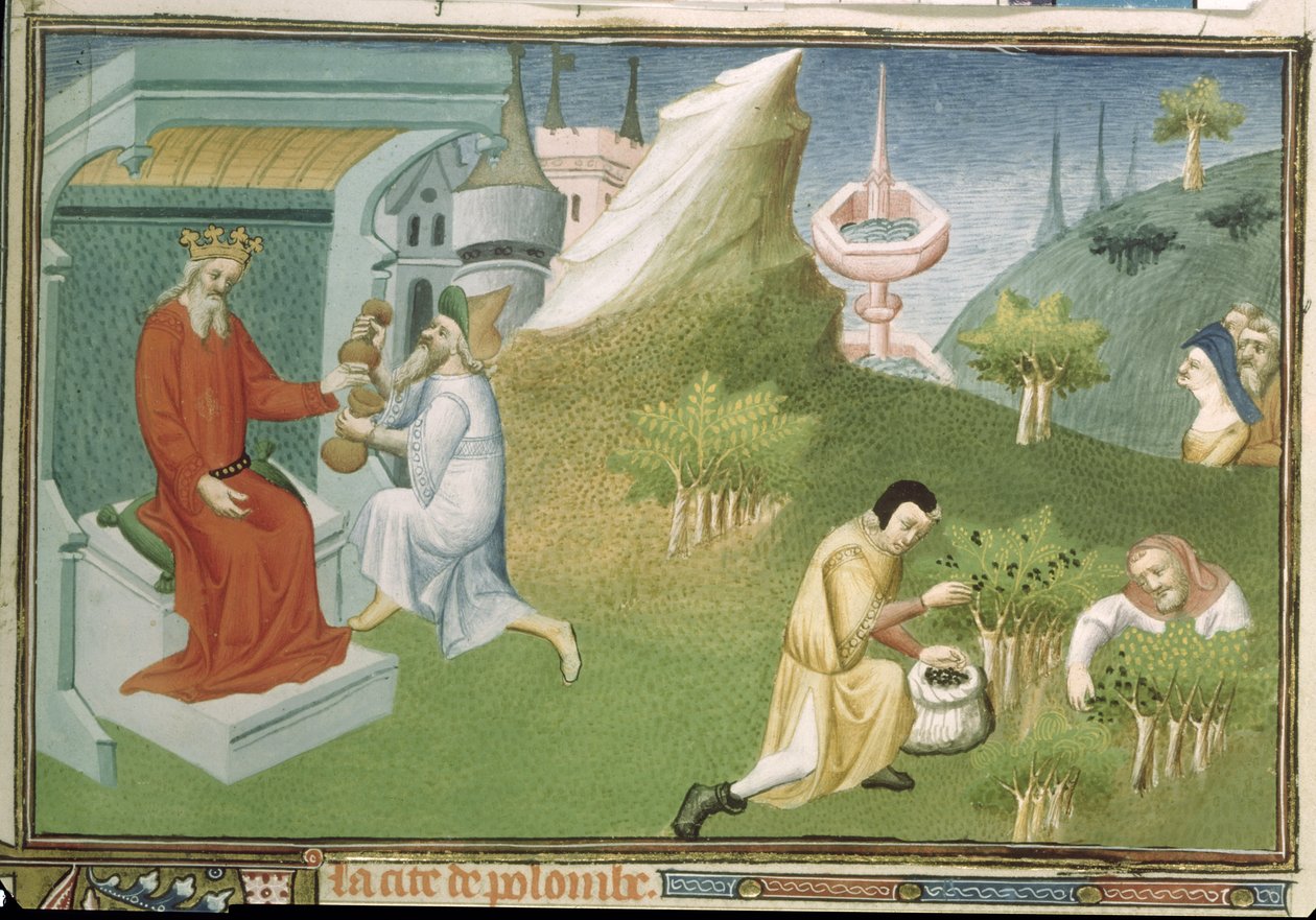 Ms Fr 2810 f.186, Paprika betakarítása és a gyümölcsök felajánlása a királynak, a „Livre des Merveilles du Monde”-ból, 1410–1212 körül (tempera pergamen) alkotó: Boucicaut Master