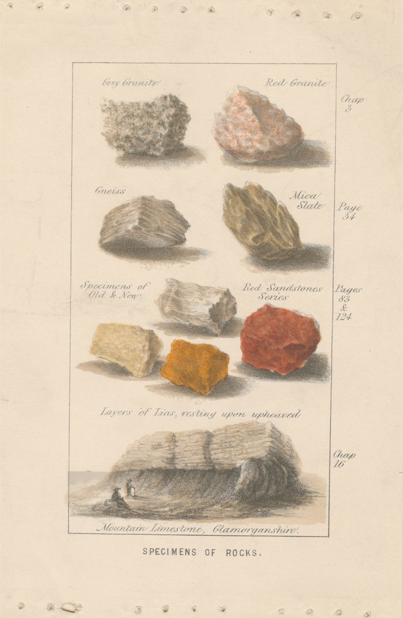 Kövek példányai. Illusztráció bizonyítéka Wright „Globe Prepared for Man” című művéhez. alkotó: Bradshaw and Blacklock