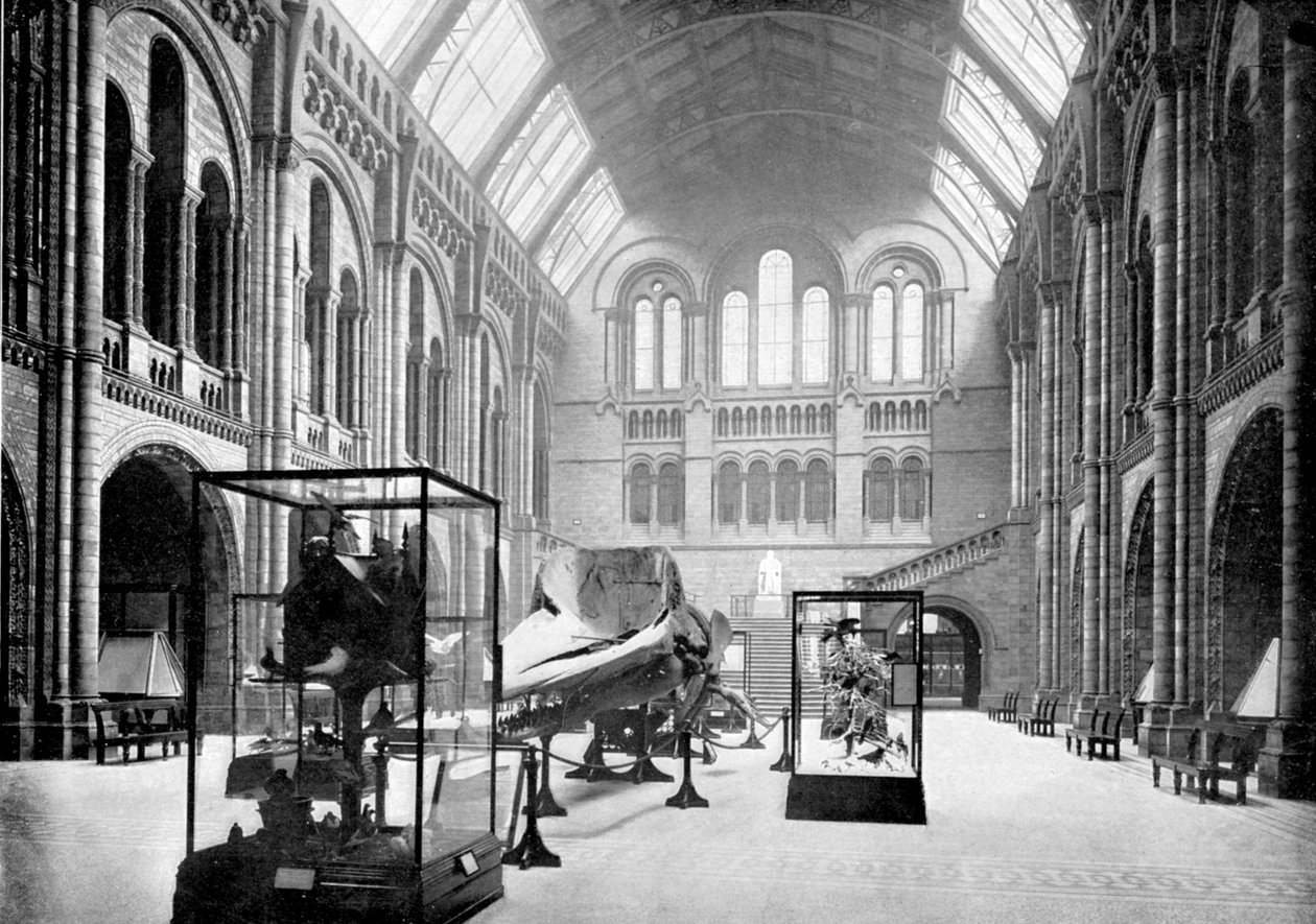 A Természettudományi Múzeum bejárata, South Kensington, London, 1890 alkotó: British Photographer