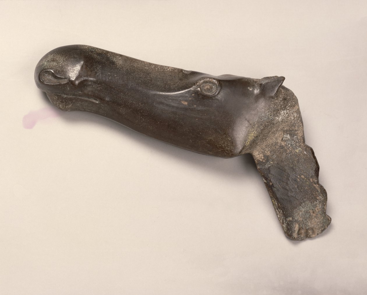 Egy nőstény jávorszarvas feje, Jekatyerinburgból az Urálban, ie 2000 (szarv) alkotó: Bronze Age