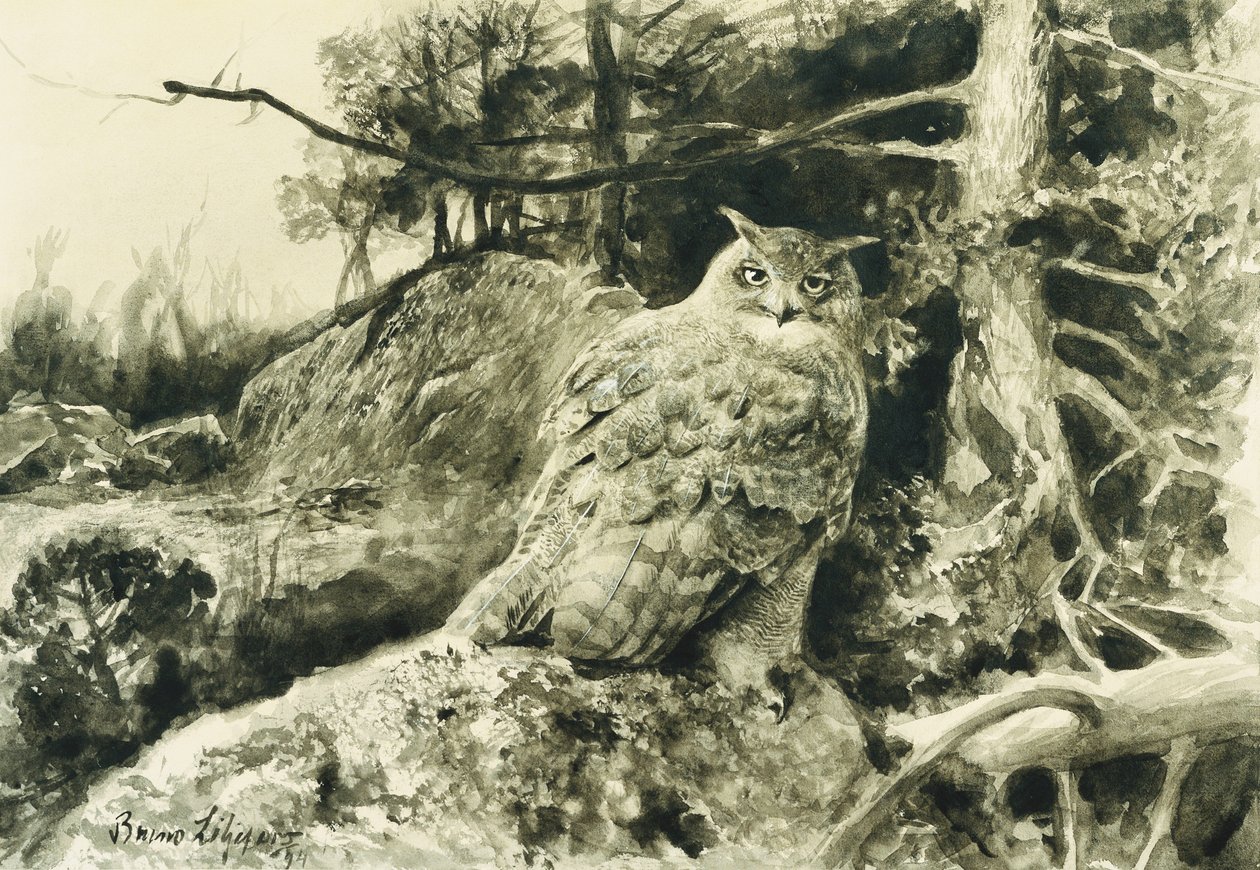 Berguv (sasbagoly) Bubo Bubo alkotó: Bruno Andreas Liljefors