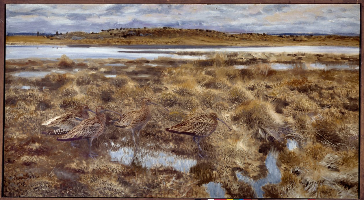 Curlews Madarak a mocsarakban. Bruno Andreas Liljefors (1860-1939) festménye 1913 V. 1,19x2,2 m alkotó: Bruno Andreas Liljefors