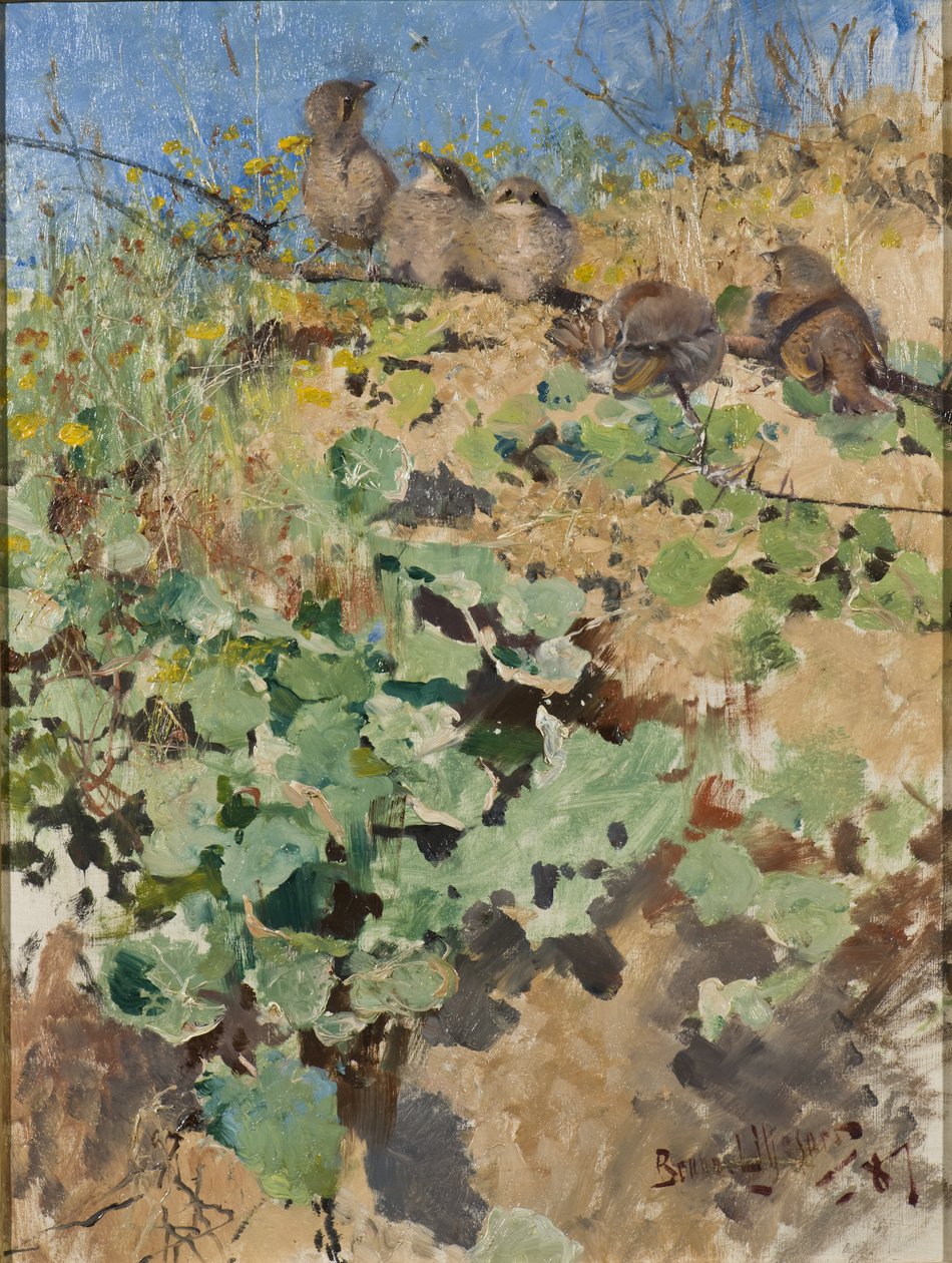 Vöröshátú sikló fiókái, 1887 alkotó: Bruno Andreas Liljefors