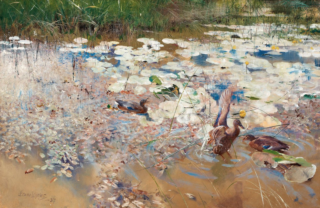 Vadkacsák, 1887. alkotó: Bruno Andreas Liljefors
