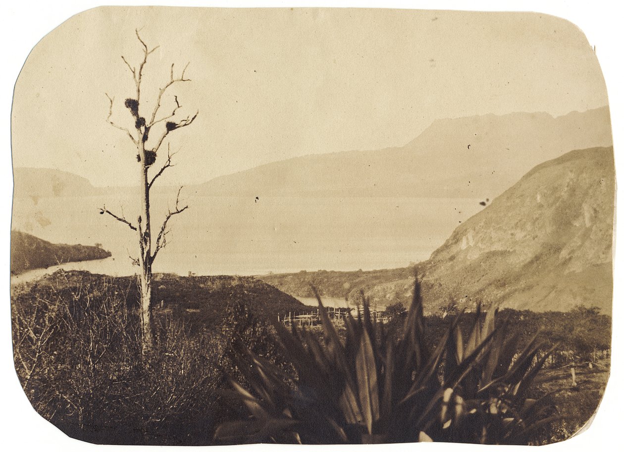 Tó és Tarawera-hegy Te Wairoa-ból, 1860 (albumnyomat) alkotó: Bruno Hamel