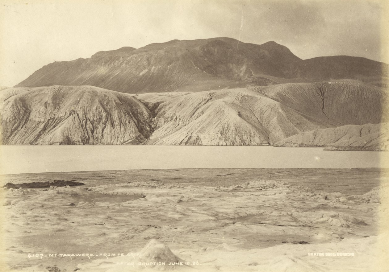 Mt. Tarawera Te Arikiból. Kitörés után, június 10.86, 1886. július (albumnyomat) alkotó: Burton Brothers Studio