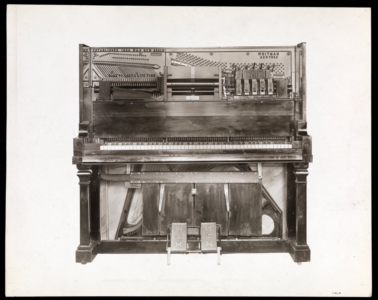 Játékos zongora, 1915-16 (ezüst zselatinos nyomat) alkotó: Byron Company