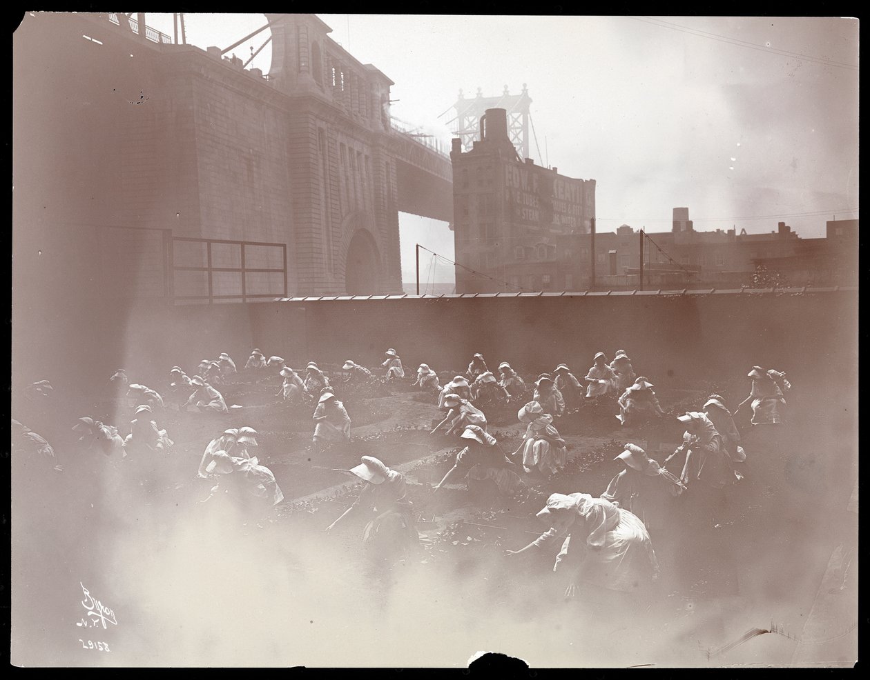 Lányok dolgoznak egy tetőtéri veteményeskertben, a Manhattan hídon túl látható, New York, 1910 (ezüst zselatin nyomat) alkotó: Byron Company