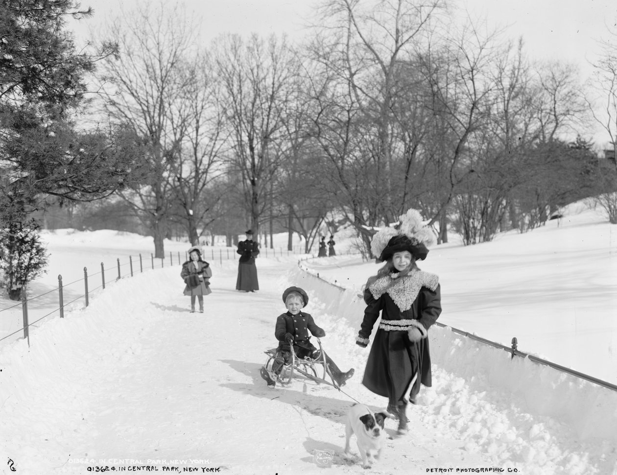 A New York-i Central Parkban, 1900 körül alkotó: Byron Company