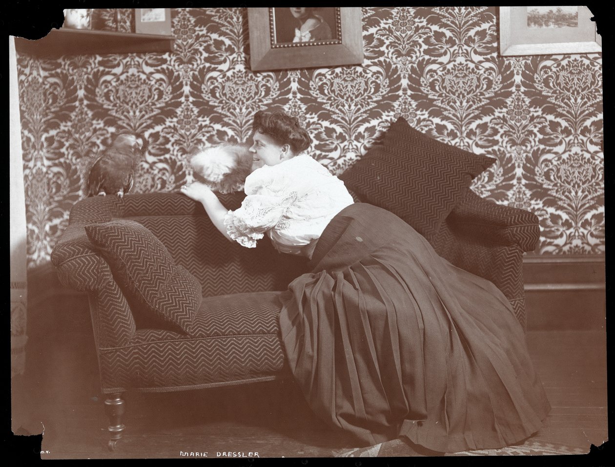Marie Dressler otthon kutyával és papagájjal, 1905 (ezüst zselatin nyomat) alkotó: Byron Company