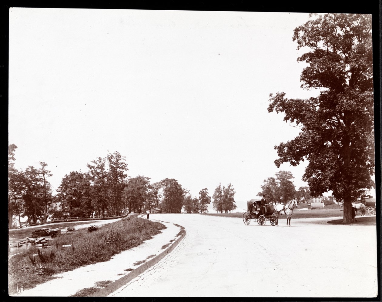 Kilátás egy lovas kocsira a Riverside Drive-on, New Yorkban, 1893 körül (ezüst zselatin nyomat) alkotó: Byron Company