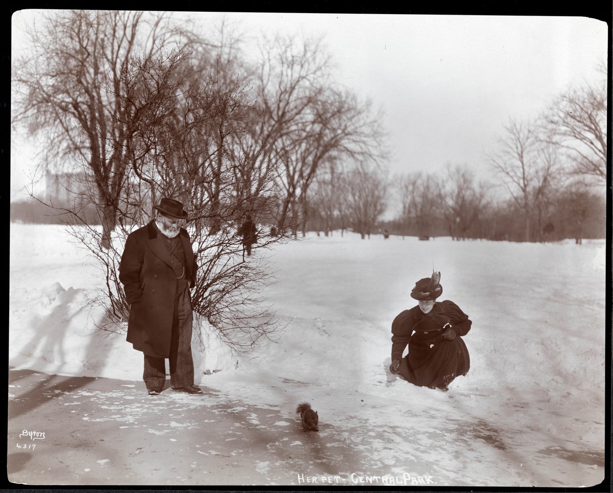 Mókust etető nő képe, miközben egy férfi a hóban néz a Central Parkban, New York, 1898 (ezüst zselatin nyomat) alkotó: Byron Company
