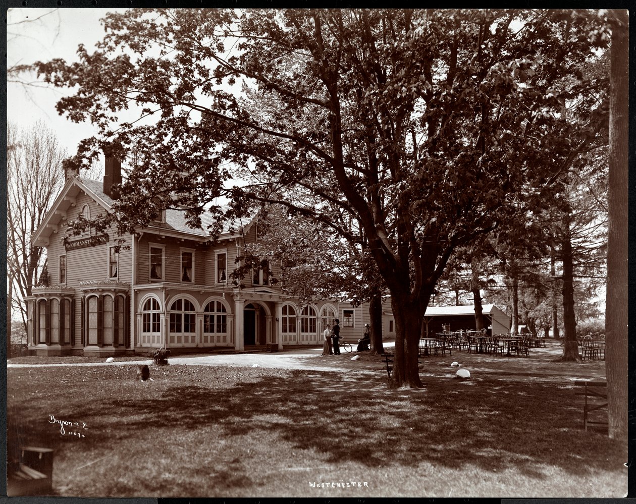 Kilátás a Woodmansten Inn fáin keresztül, Westchester, New York, 1901 (ezüst zselatin nyomat) alkotó: Byron Company