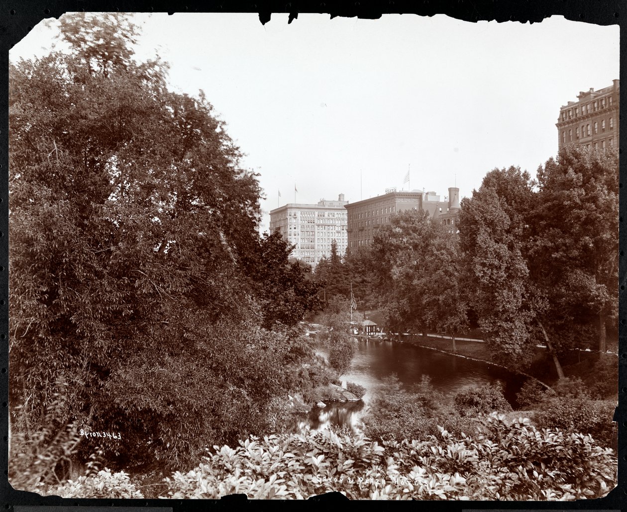 Central Park kilátással a Savoy és Plaza Hotelekre, 5th Avenue és 59th Street, New York, 1896-98 (ezüst zselatin nyomat) alkotó: Byron Company