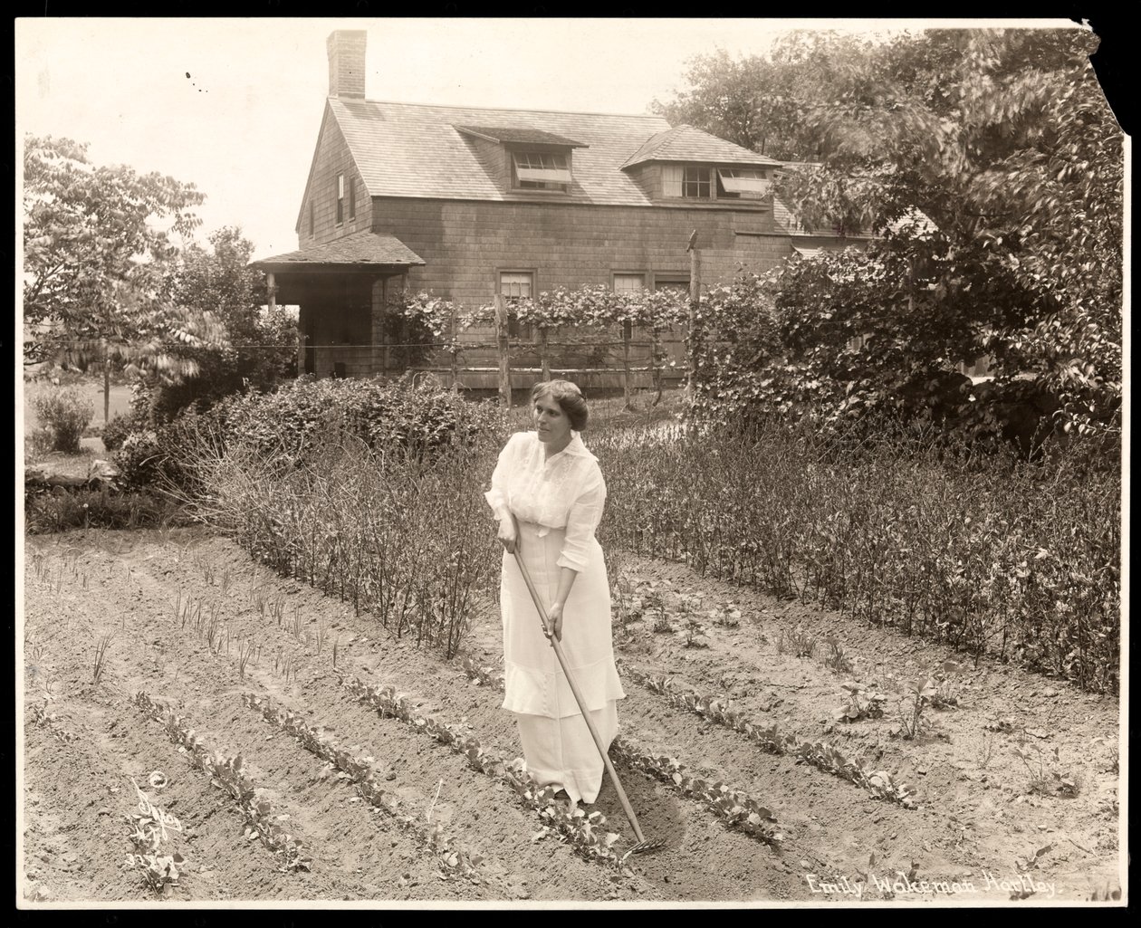 Emily Wakeman Hartley, 1913 körül (ezüst zselatin nyomat) alkotó: Byron Company
