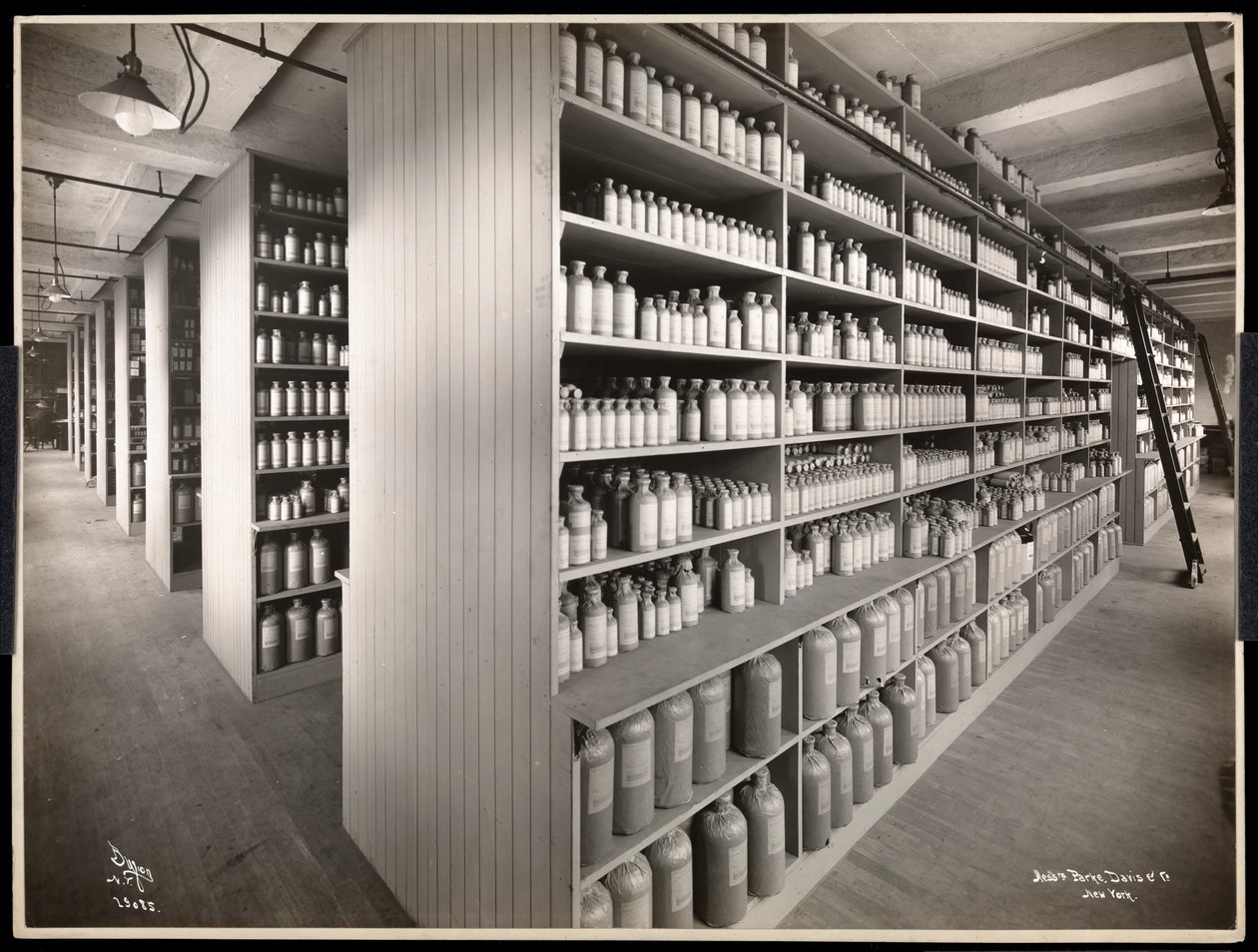 A Parke, Davis és Co. vegyészcég, Hudson és Vestry Streets, New York, 1910 (ezüstzselatinos nyomat), egy vegyszerraktár belső nézete. alkotó: Byron Company