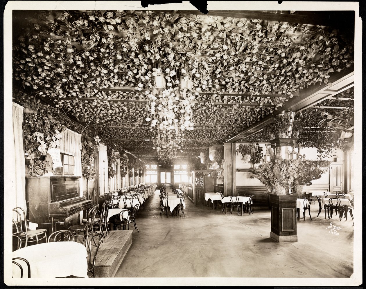 Az ebédlő a Hotel Dolphinban, New York, 1915 (ezüst zselatin nyomat) alkotó: Byron Company