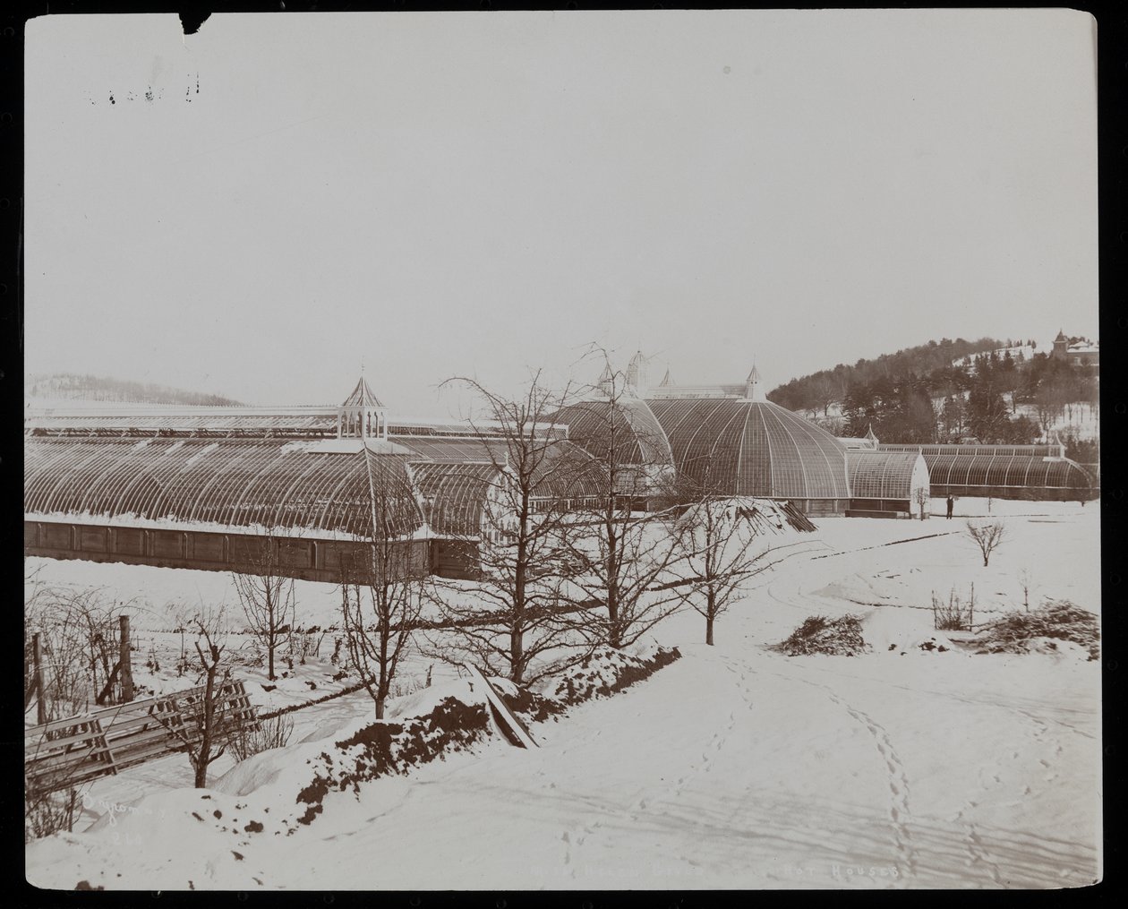 Üvegházak a hóban a Helen Gould birtokon (néhai Jay Gould rezidencia) Tarrytownban, New Yorkban, 1894 (ezüst zselatin nyomat) alkotó: Byron Company
