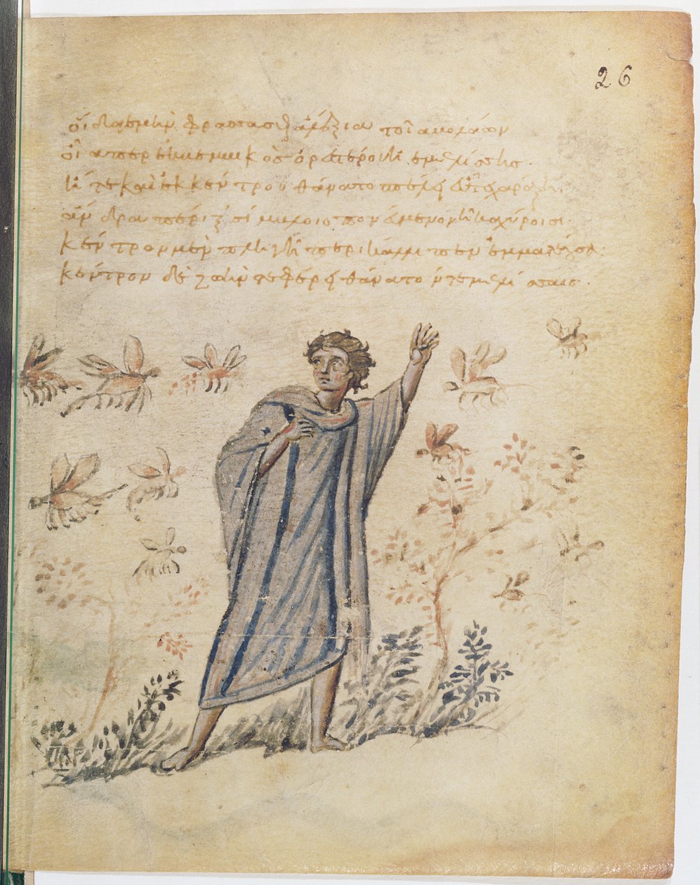 Ms Supp Grec 247 fol.3 Méhek elől menekülő ember, illusztráció a colophoni Nicander Theriacából (Kr. e. 2. század) alkotó: Byzantine