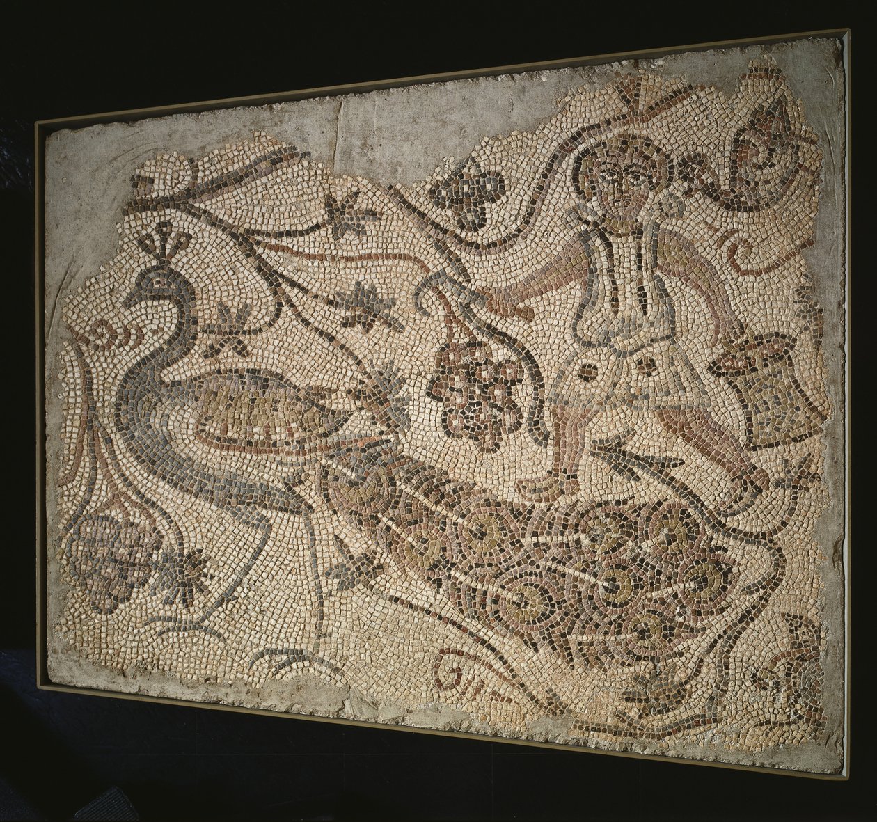 Padlómozaik panel: Szőlőkombájn pávával, 400-as évek alkotó: Byzantine