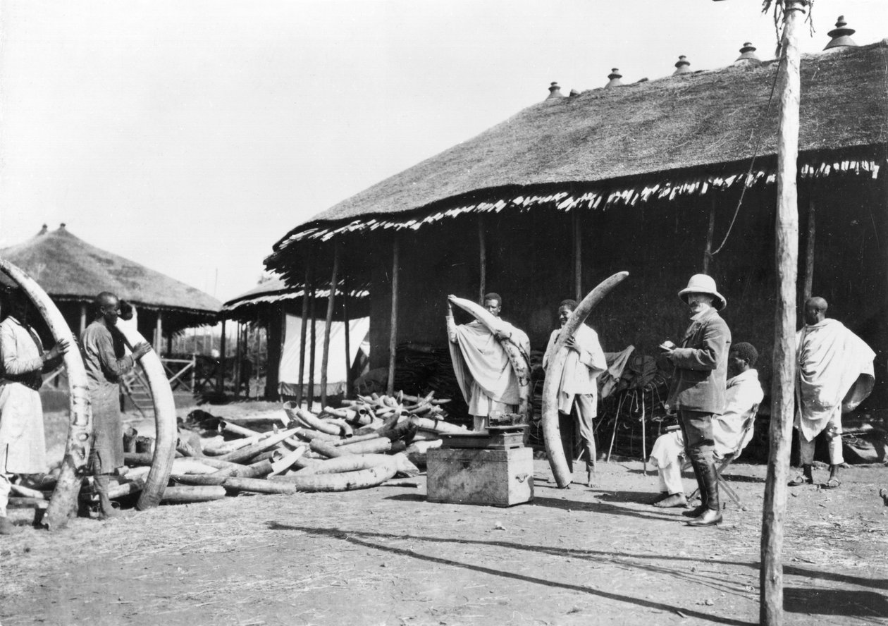 Elefántcsont-raktárak Addis Abebában, Etiópiában, 1900 körül (bw fotó) alkotó: C. Chusseau Flaviens