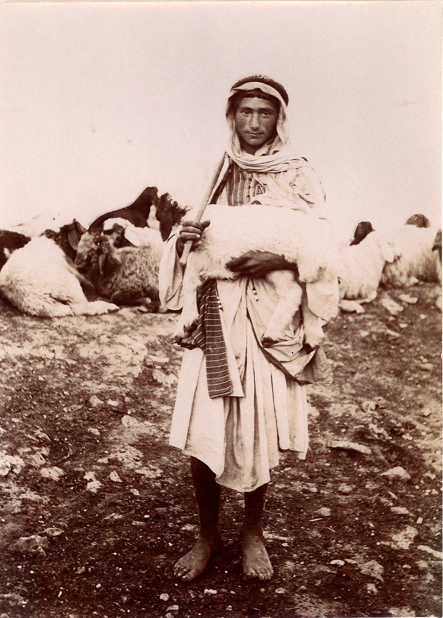 Bárányt cipelő pásztorfiú, 1894-1914 körül alkotó: C.A. Hornstein