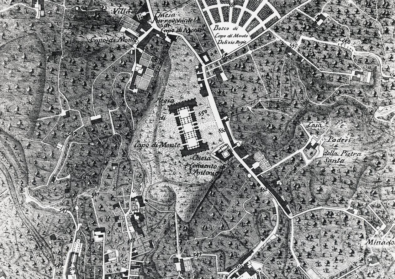 Nápoly várostérképe Capodimonte-val, részlet a Duke Of Noja térképről alkotó: J.B. and Brown J. Rowbotham