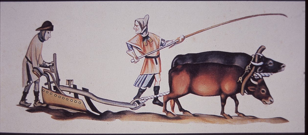Ökörrel szántó középkori férfiak a Luttrell Zsoltár jelenetéből (színes litó) alkotó: J.B. and Brown J. Rowbotham