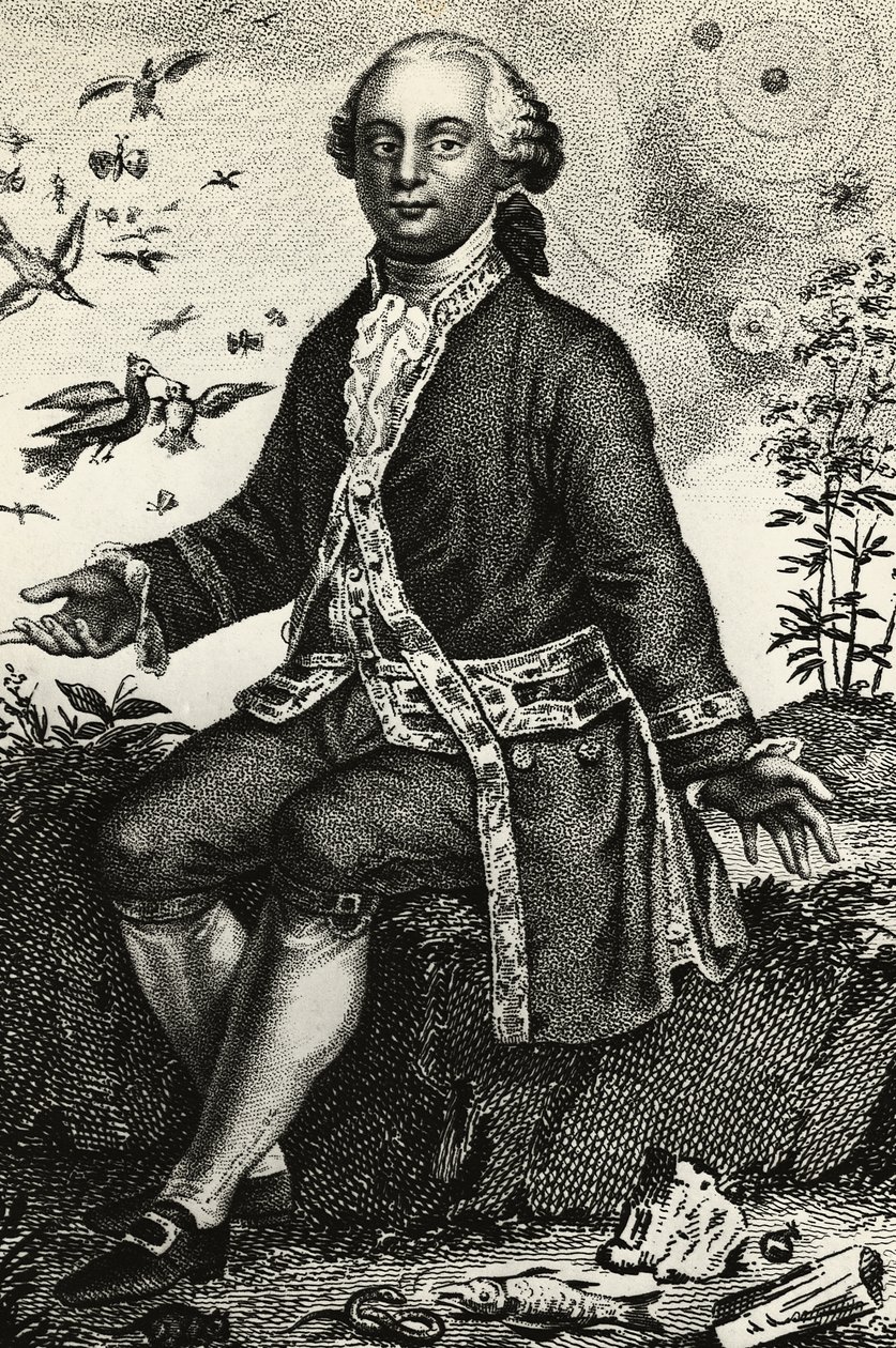 Georges-Louis Leclerc de Buffon (1707-1788) francia természettudós és matematikus portréja, metszet alkotó: J.B. and Brown J. Rowbotham