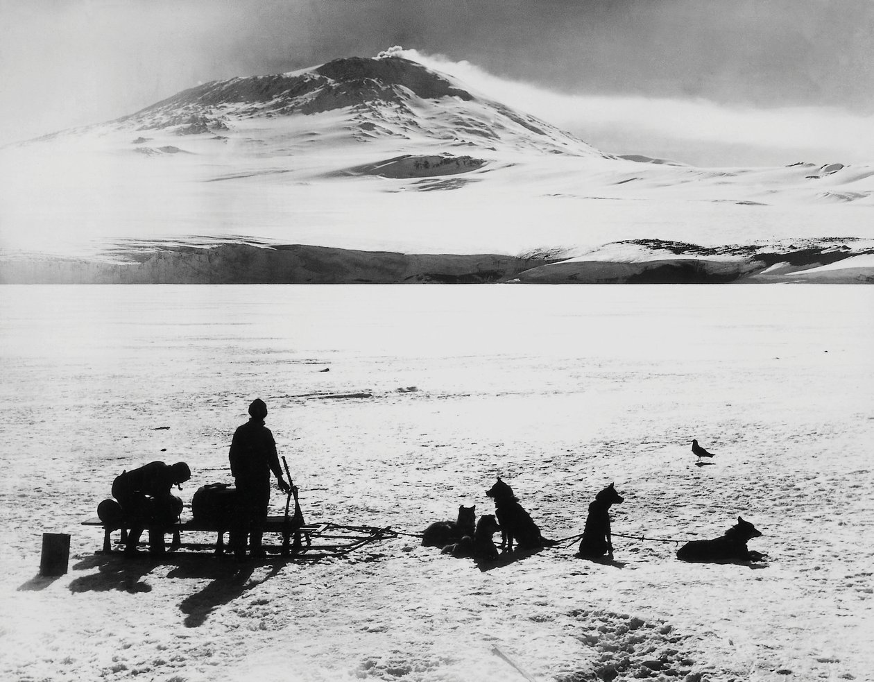 Robert Falcon Scott (1868-1912), a Ross-sziget Erebus vulkánja előtti felfedezők déli sarki expedíciója, január 15. alkotó: J.B. and Brown J. Rowbotham