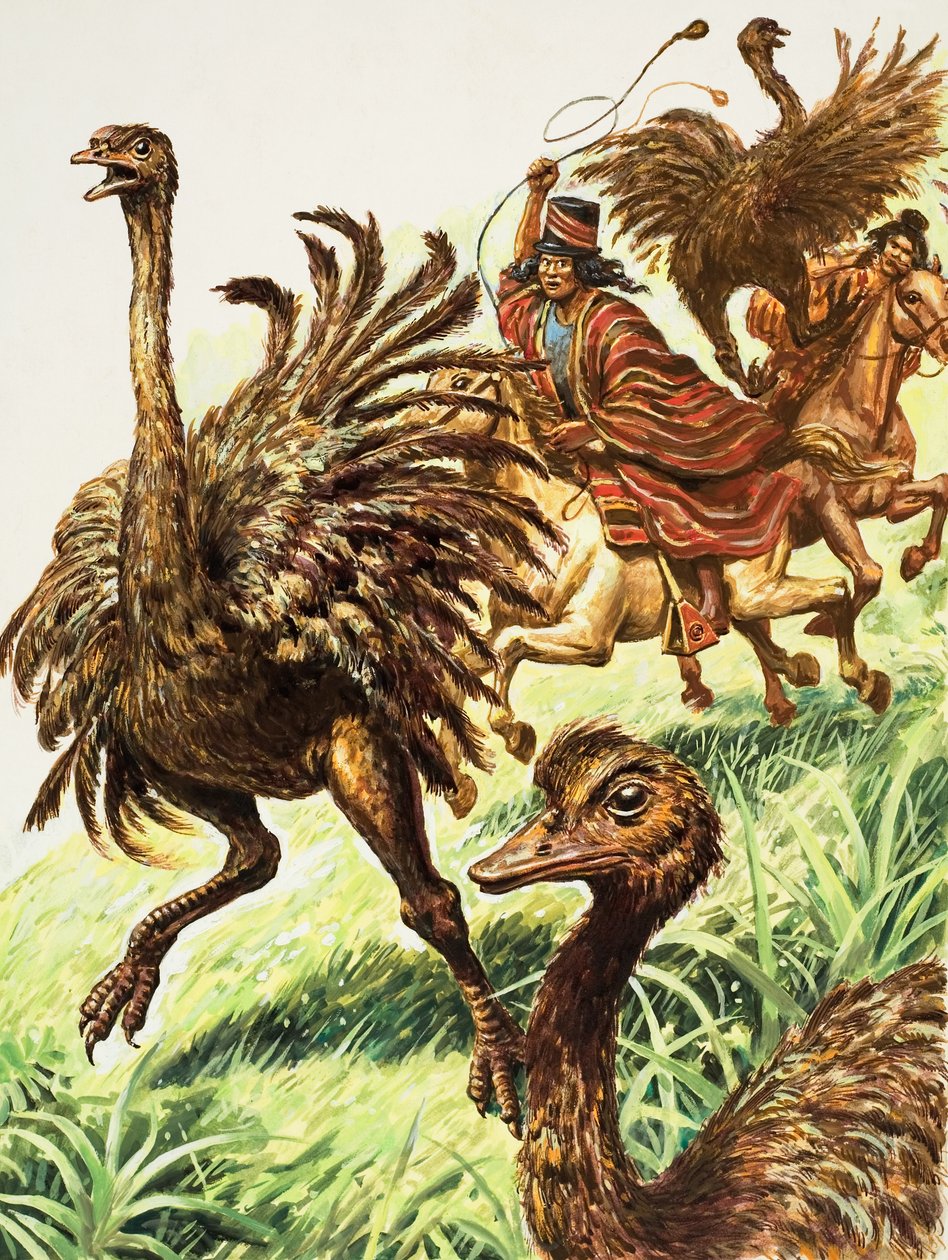 Rheas (gouache, papír) alkotó: C.L. Doughty