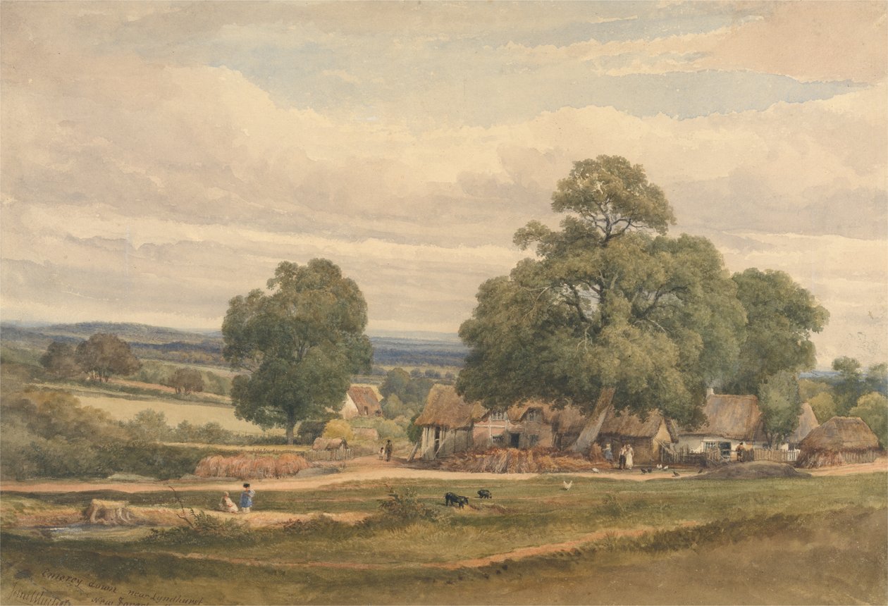 Emery Down Lyndhurst közelében, New Forest, Hants (akvarell és grafit papíron) alkotó: C. John Mayle Whichelo