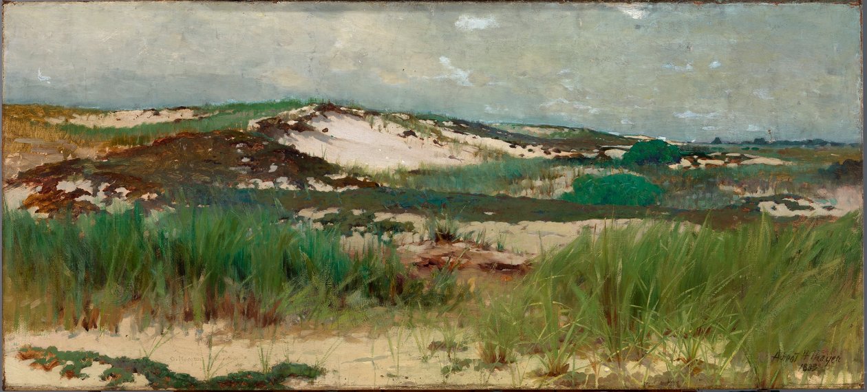 Nantucket homokdűne alkotó: C. Morgan McIlhenney
