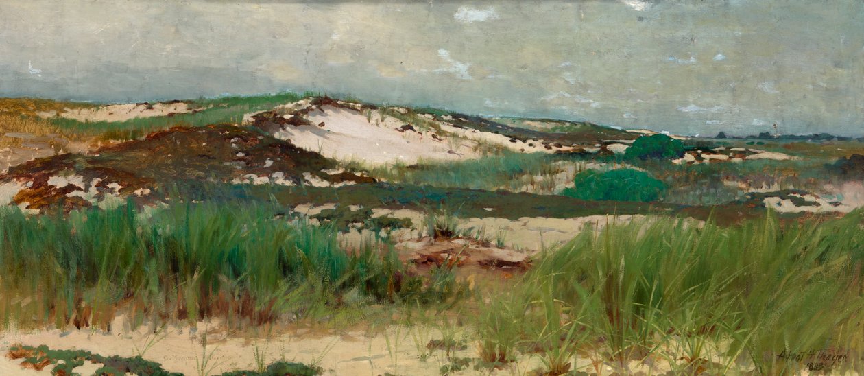 Nantucket homokdűne, kb. 1890. alkotó: C. Morgan McIlhenney