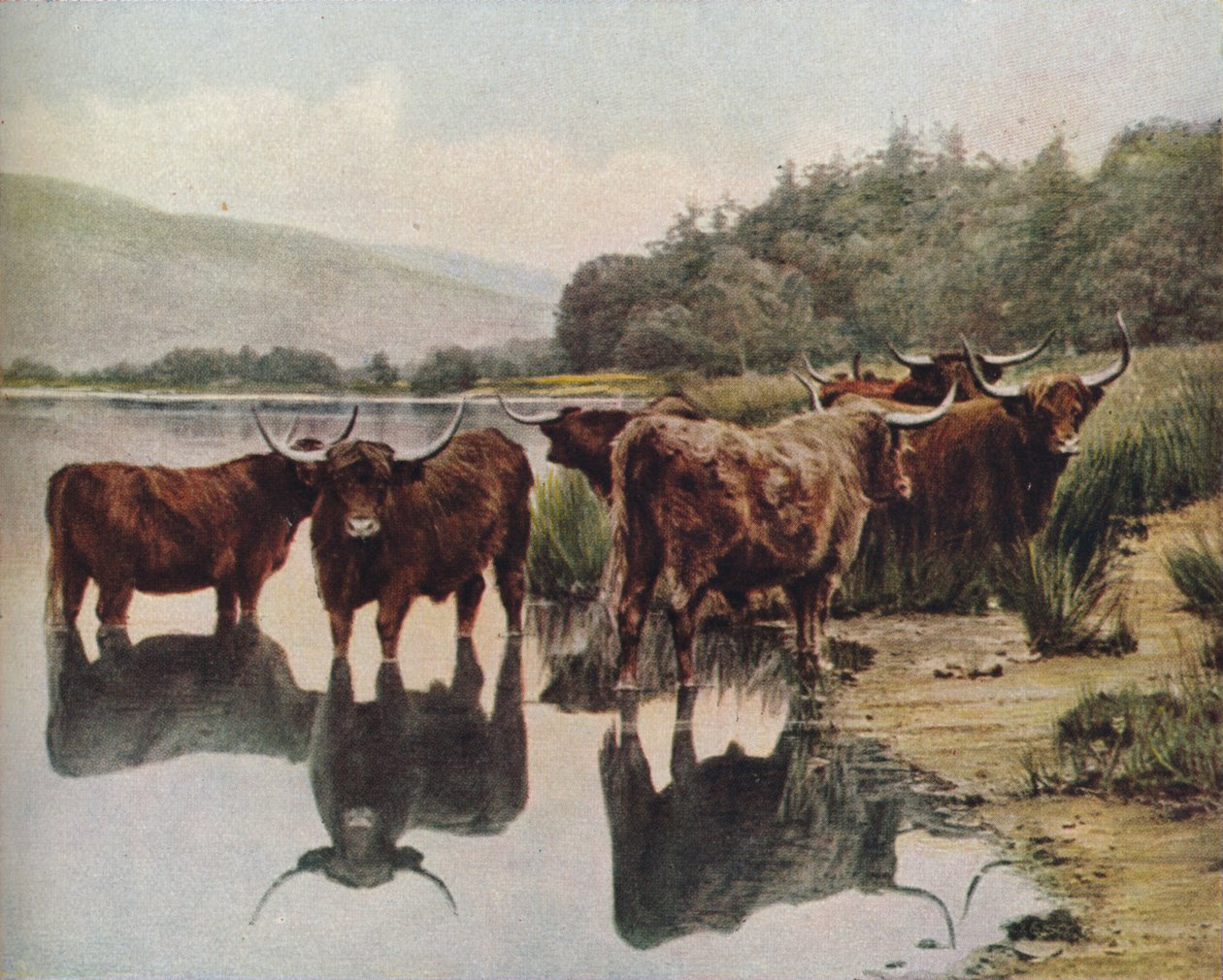 Skócia, 1930-as évek alkotó: C. Reid