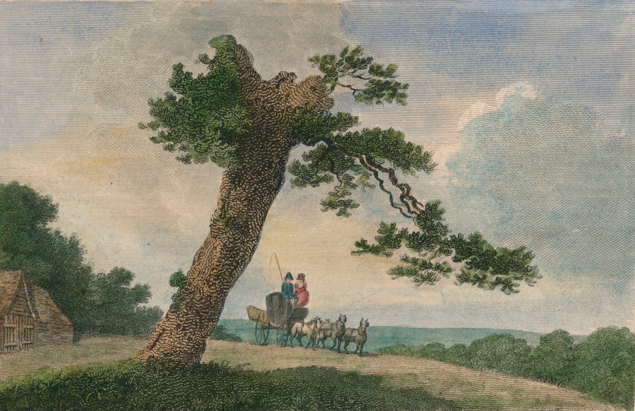 „Rural Subject”, 1804. alkotó: C Taylor